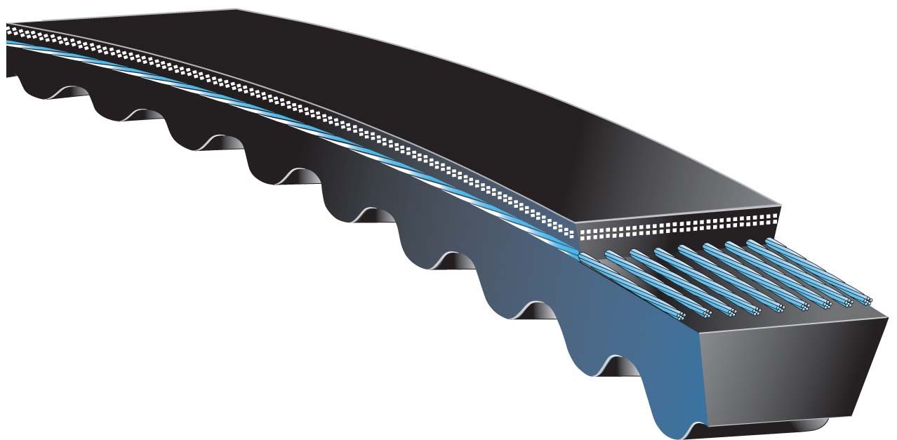 Gates Notched V-Belt - AX Section | EPDM - Main Image